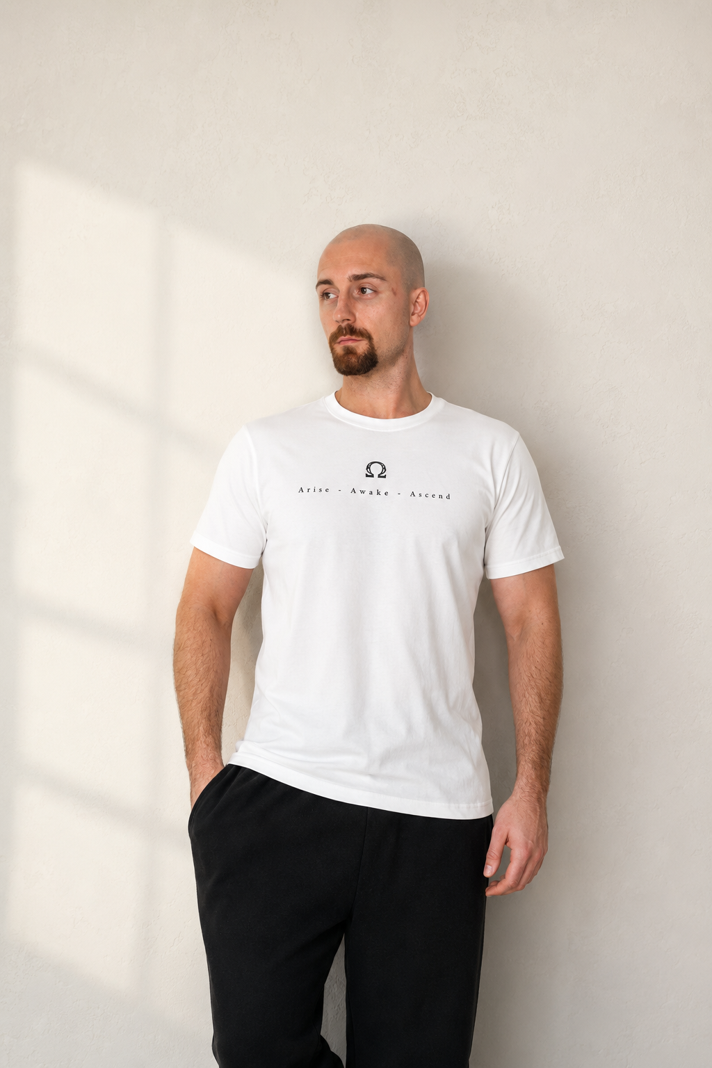 Arise Hemp Tee – Aurora Series